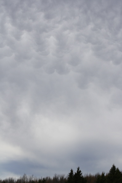 Mammatus Clouds