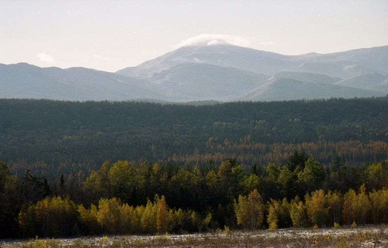 img8by10019.jpg