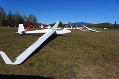 P1070081