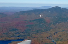 Soaring with bald eagle