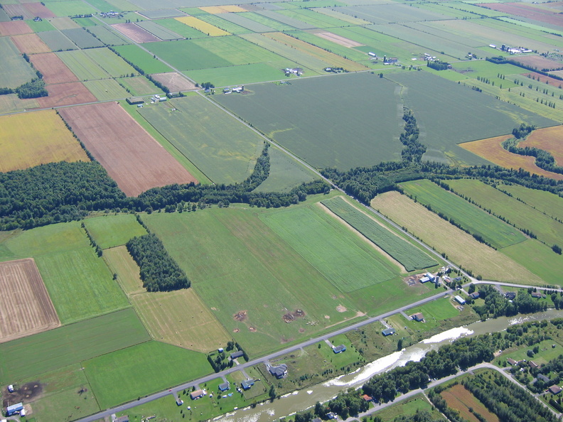 GrassStripWestOfCassleman2.jpg