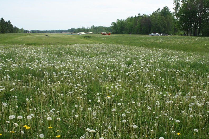 Button of Rwy08