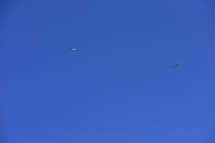 Gliders in a Thermal
