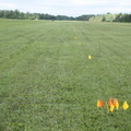 Yellow Hazard Flags (RAA Fly In)
