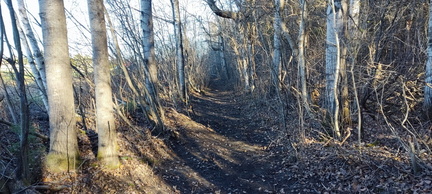IMG 20241116 134940