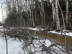 Ditch in March 