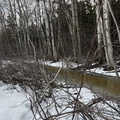 Ditch in March 
