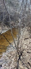ditch-wet-portrait-narrow
