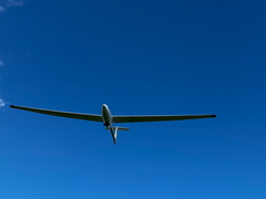 Oscar Papa On Final